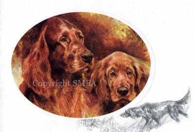 Irish Setters Blank Greetings Card 'Irish Setters' by Mick Cawston CE24