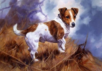 Jack Russell Blank Greetings Card 'At Work' by John Trickett C132