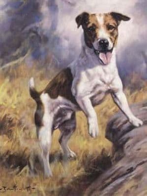 Jack Russell Blank Greetings Card 'Ready To Go' by John Trickett C156