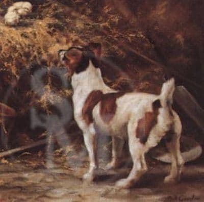 Jack Russell Blank Greetings Card 'The Discoverers' by Mick Cawston CS3