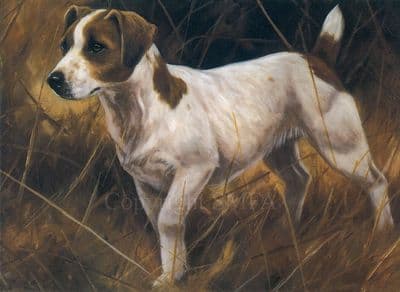 Jack Russell Blank Greetings Card 'The Operator' by John Trickett  C10