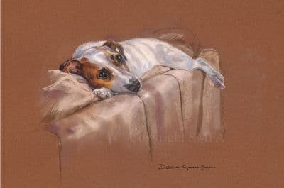 Jack Russell Limited Edition Print 'Sofa Surfing' by Debbie Gillingham