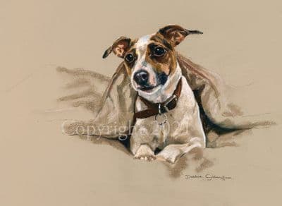 Jack Russell Limited Edition Print 'The Cover Up' by Debbie Gillingham