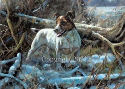 Jack Russell Pack of 10 Christmas Cards 'Who Said Rats' by John Trickett C655X