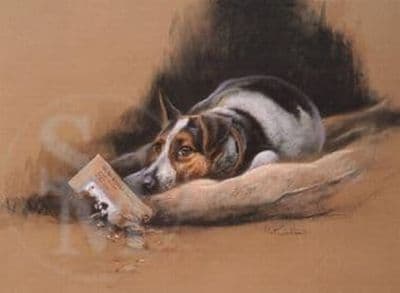 Jack Russell Terrier Blank Greetings Card 'That's Torn It' by Mick Cawston C34