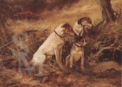 Jack Russell Terrier Fox Blank Greetings Card 'Not At Home' by Mick Cawston B2