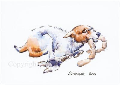 Jack Russell Terrier Funny Blank Greetings Card 'Sausage Dog' by Malcolm Coward M016