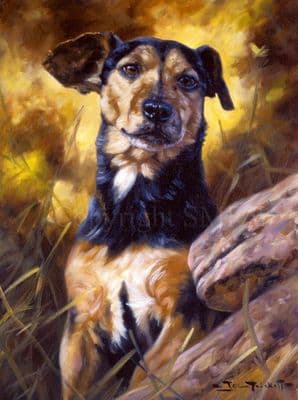 Jack Russell Terrier Greetings Card 'I Want To Play' by John Trickett C104