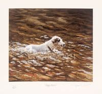 Jack Russell Terrier Limited Edition Print 'Doggy Paddle' by Pippa Thew
