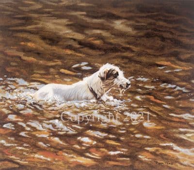 Jack Russell Terrier Limited Edition Print 'Doggy Paddle' by Pippa Thew