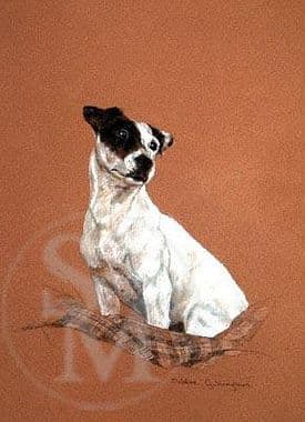 Jack Russell Terrier Limited Edition Print 'Thoughtful' by Debbie Gillingham