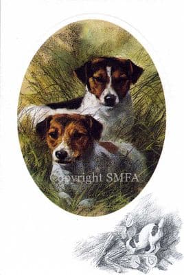 Jack Russell Terriers Blank Greetings Card 'Jack Russell' by Mick Cawston CE15
