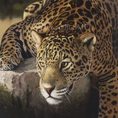 Jaguar Limited Edition Print 'On The Rocks' by Pip McGarry