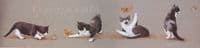Kitten Print 'The One That Got Away' by Rob Woods