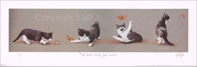 Kitten Print 'The One That Got Away' by Rob Woods