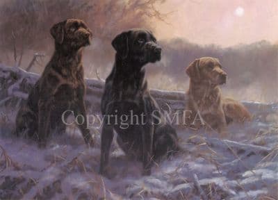 Labrador Blank Greeting Card 