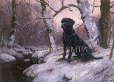 Labrador Blank Greeting Card By The Stream C91