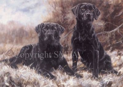 Labrador Blank Greetings Card 'Breath of Winter' by John Trickett C340