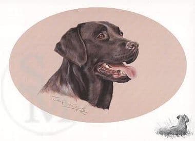 Labrador Open Edition Print 'Labrador' by Josephine Copley