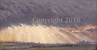 Landscape Original Oil on Panel 'Evening Light' by Malcolm Coward