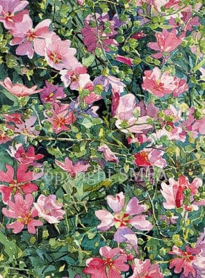 Lavatera Flower Greetings Card 'Lavatera' by Peter Searle B160