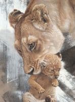 Lion Canvas Print 'Lioness and Cub' by Paul Doyle