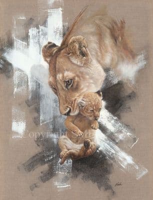 Lion Canvas Print 'Lioness and Cub' by Paul Doyle