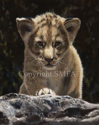 Lion Cub Limited Edition Print 'Lion Cub' by Pip McGarry