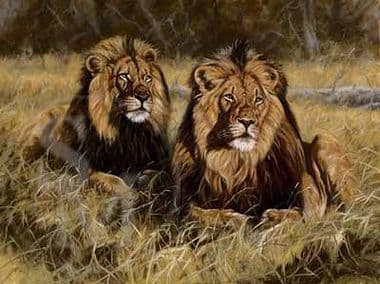 Lion Limited Edition Print 'Pride of Lions' by John Trickett