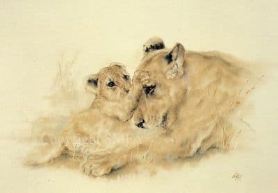 Lioness Cub Blank Greetings Card 'Dearest Mum' by Nikki Crane B97
