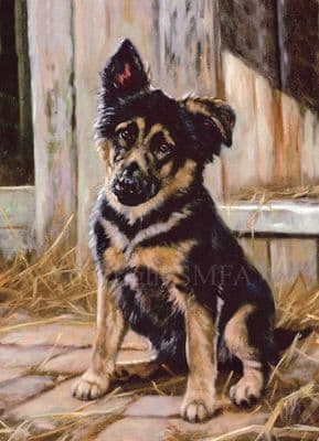 Listen and Learn' GSD Black Greetings Card C286