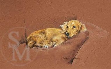 Long Haired Dacshund Limited Edition Prints 'Lady of Leisure' by Debbie Gillingham