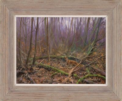 Lot 12. 'Fox in The Undergrowth' Original Painting by Mick Cawston