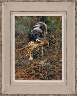 Lot 20. 'Springer Retrieving' Original Oil painting by Mick Cawston