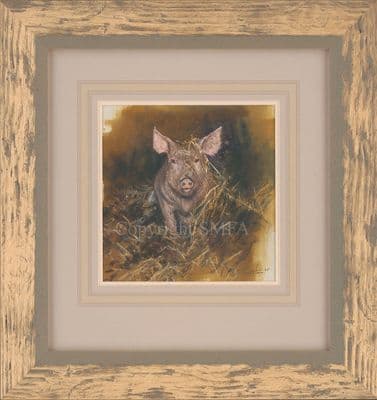 Lot 48. 'Study of a Piglet' Original painting by Mick Cawston