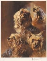 Lot 7. 'Vanity Fair' Copy No.1 Ltd Edition Yorkshire Terrier Print by Mick Cawston