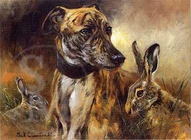 Lurcher Blank Greetings Card 'Dignity' by Mick Cawston B144