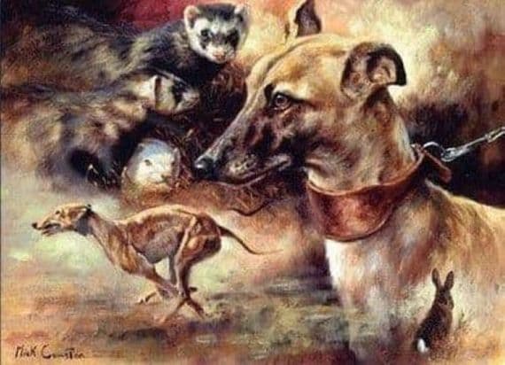 Lurcher Ferret Blank Greetings Card 'Running Mates' by Mick Cawston  B54