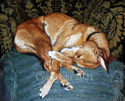 Lurcher Limited Edition Print 'Let Sleeping Dog's Lie' by Lesley Stanley