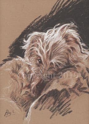 Lurcher Original Pastel 'Just Checking' by Paul Doyle