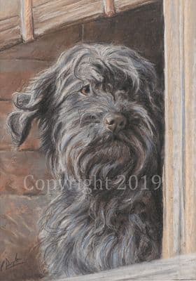 Lurcher Original Pastel 'Shaggy' by Paul Doyle