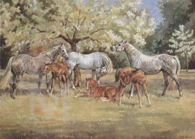 Mares and Foals Blank Greetings  Card 'Springtime' by Margaret Barrett B103