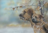 No. 1 'A Light Frosting' Original Border Terrier Painting by Paul Doyle