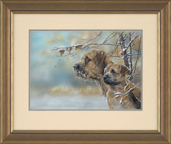 No. 1 'A Light Frosting' Original Border Terrier Painting by Paul Doyle