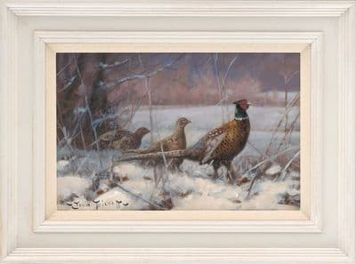 No. 16 'Showing Off' Original Pheasant painting by John Trickett
