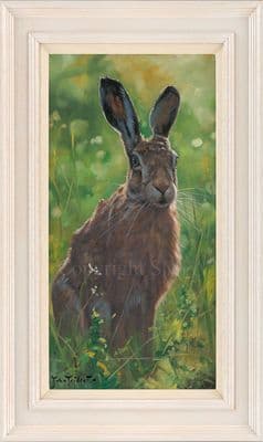 No. 17 'Sunny Hare' Original Oil Painting by John Trickett
