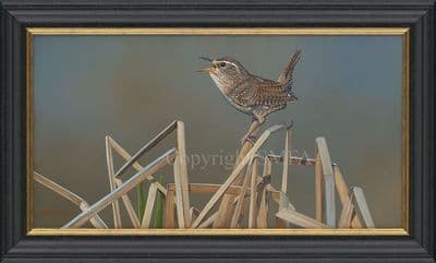 No. 44 'Reed Instrument' Original Painting of a Wren by Ben Waddams