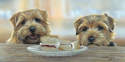 Norfolk Terrier Limited Edition Print 'Share and Share Alike' by Paul Doyle
