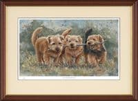 Norfolk Terrier Limited Edition Print 'The Norfolk Branch' by Paul Doyle DOYG-180