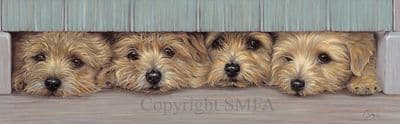 Norfolk Terrier Limited Edition Print 'The Welcome Home Committee' by Paul Doyle